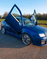 Volkswagen VW Bora 1.9 TDI mit Flügeltüren/Scherentüren - Volkswagen Bora: TDI