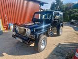 Jeep WranglerTJ Sahara - Jeep Wrangler in Ludwigshafen