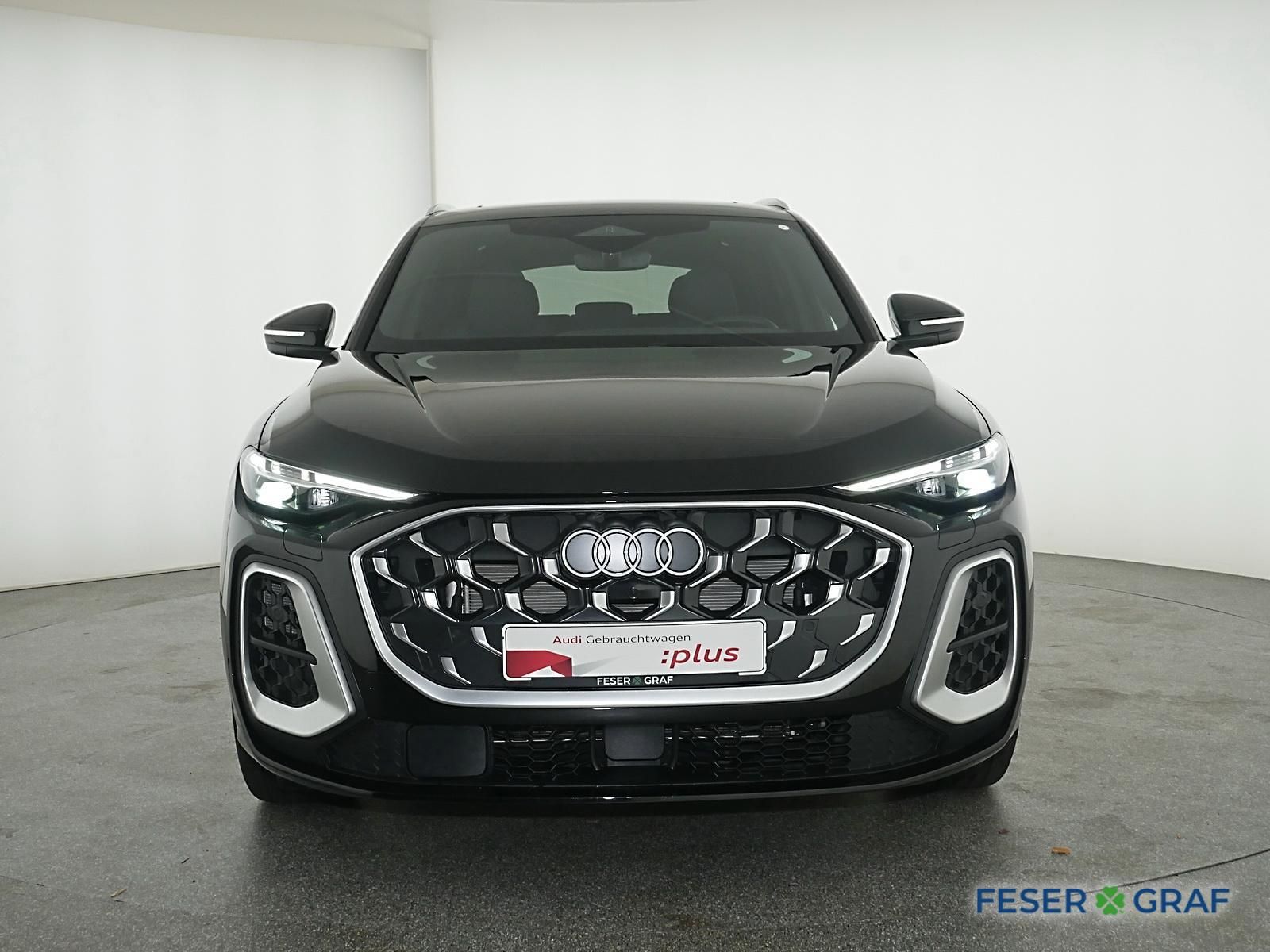 Audi SQ5 - Bild 11