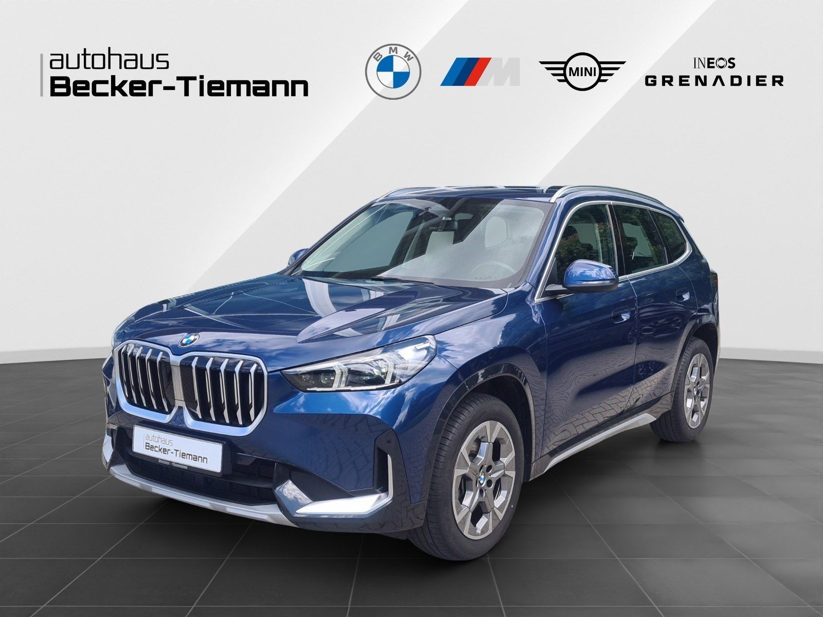 BMW X1 sDrive20i 18 Harman Kardon AHK DrivAss