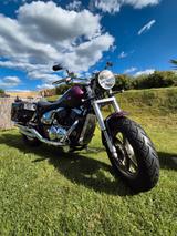 Suzuki VZ 800 Marauder - SUZUKI VZ 800 MARAUDER