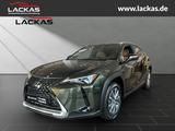 Lexus UX 300e *EXECUTIVE*SOFORT*FACELIFT*15JH-GARANTIE - Lexus UX Neuwagen