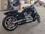 Harley-Davidson V Rod Muscle - HARLEY-DAVIDSON V ROD MUSCLE