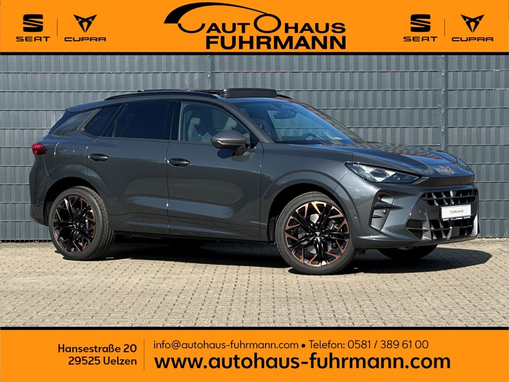 Cupra Terramar