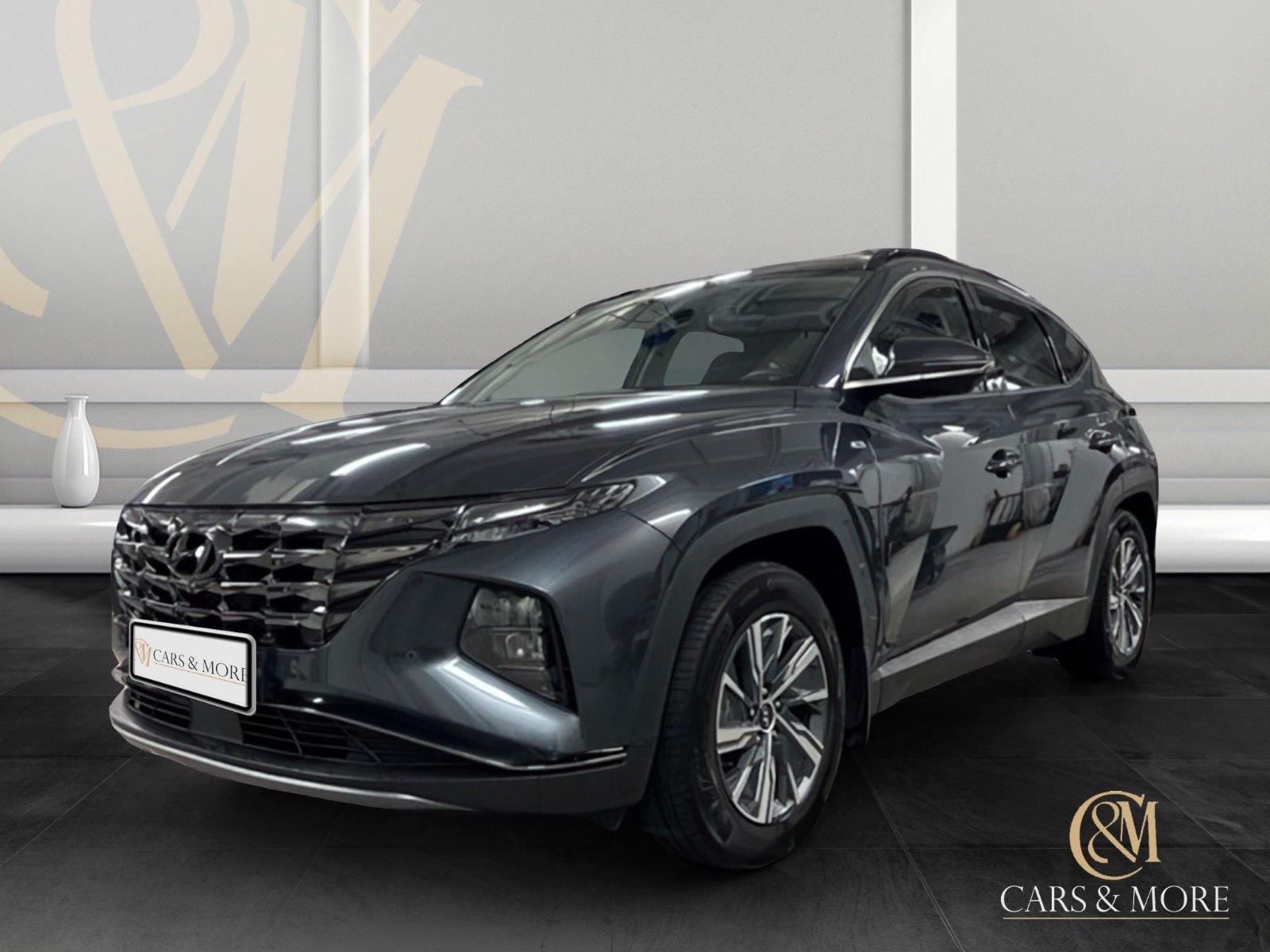 Hyundai Hyundai Tucson Select Mild-Hybrid Navi Panorama RF