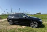 Audi SQ5 3.0 TDI tiptronic quattro - - gebrauchte Audi SQ5 aus dem Jahr 2014