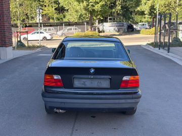 BMW 316 - 6