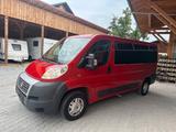 Fiat Ducato 3 Liter L2H1 Umbau 9 Sitzer Kein Winter - Fiat Ducato: Sitzer 9