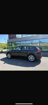 Audi SQ5 3.0 TDI tiptronic quattro - - Audi SQ5 in Bochum