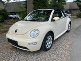 Volkswagen New Beetle Cabrio 1.6Highline KLIMA S.HEIZ 99TKM - Volkswagen New Beetle: Beige