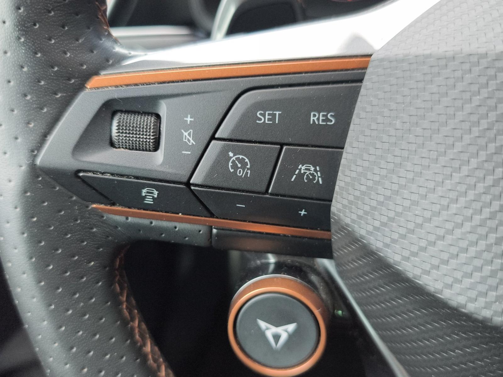 Cupra Formentor 2.0 TSI DSG 4Drive VZ LED+NAVI+BEATS+1, миниатюра 17