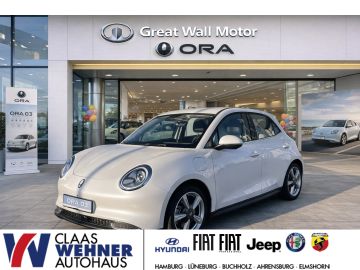 GWM Leasingangebot: GWM ORA 03 Inkl. Bereitstellungskosten*360Grad Kamer