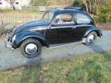 Volkswagen Käfer Faltdach  BJ 58 Export  56 Jahre in 1.Hand - Volkswagen: Faltdach