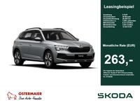 Skoda Kamiq - Vorschau Bild 1