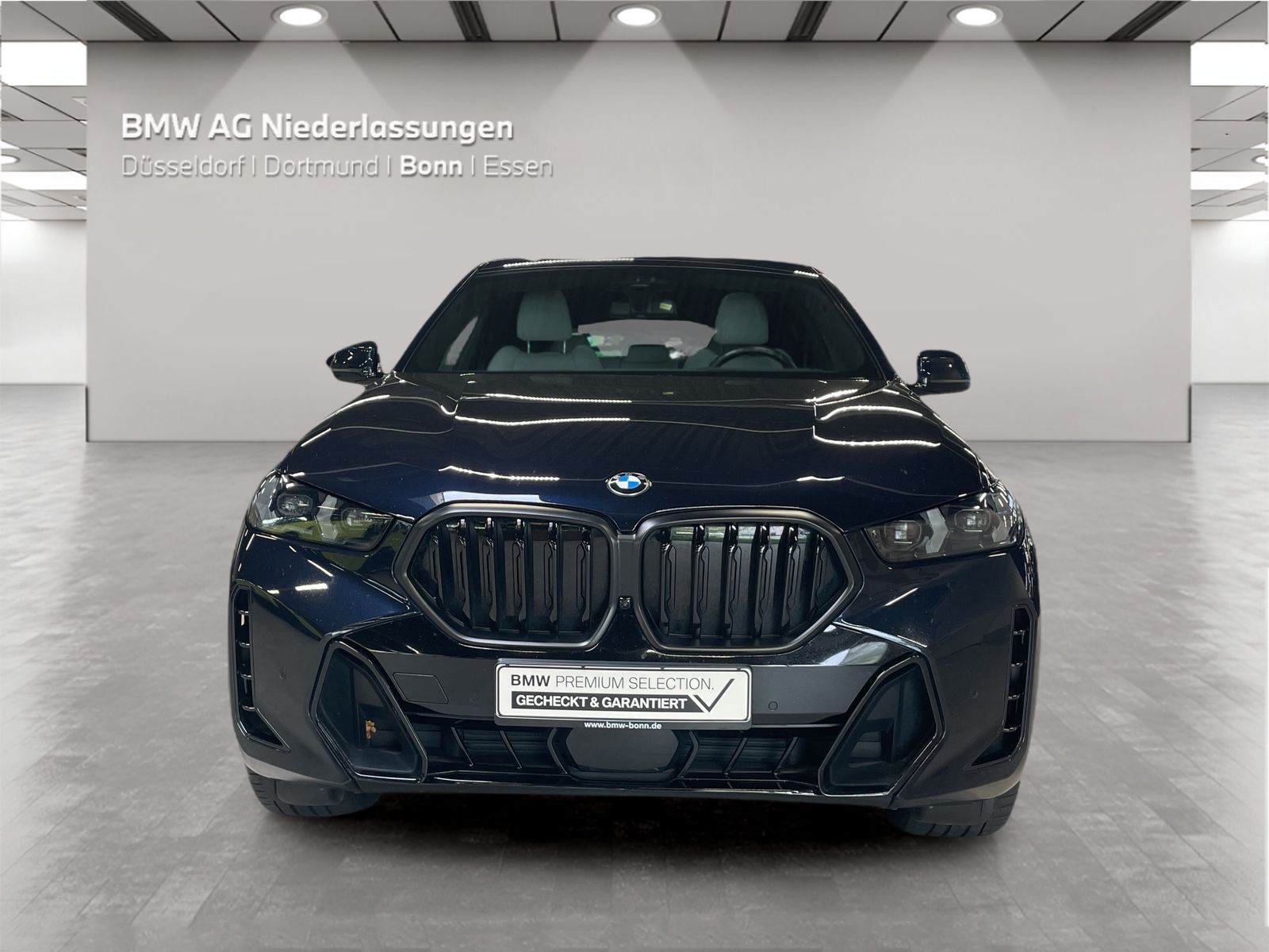 BMW X6 xDrive30d M Sport AHK Driv.Assist.Prof LED foto 5