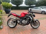 MV Agusta Brutale S F4 - Angebote entsprechen deinen Suchkriterien