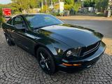 Ford Mustang 4.6 Liter V8 Bullit  1Hand Unfallfrei - gebrauchte Ford Mustang aus dem Jahr 2008