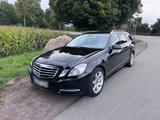 Mercedes-Benz Mercedes E350 CDI T Modell 4000 Euro inves... - Mercedes-Benz E 350 in Lübeck