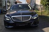 Mercedes-Benz E 350 BlueTEC 4MATIC T - - Mercedes-Benz E 350 mit Diesel-Antrieb: Stoff, Kombi