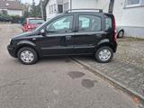 Fiat fiat panda dinamic - Fiat Panda in Wiesbaden