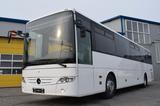 Mercedes-Benz Intouro /2010/Thermo-King/ 12 UNITS!!!/ - Mercedes-Benz Int