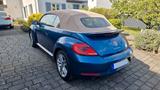 Volkswagen Beetle 2.0 TSI Cabrio Sport DSG Fender Leder  - gebrauchte VW Beetle aus dem Jahr 2016