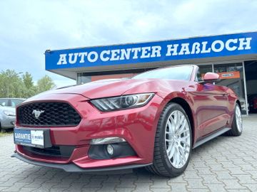 Ford Mustang - 9