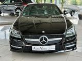 Mercedes-Benz SLK 250 CDI BE Carbon Look Edition - Mercedes-Benz SLK 250 aus 2014