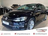 Volkswagen GOLF 1.0 TSI COMFORTLINE AHK SHZ LED PDC TEMPOMA - Volkswagen Gebrauchtwagen in Rosenheim
