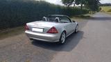 Mercedes-Benz SLK 200 Kompressor  6 GANG AMG TÜV 2026 - Mercedes-Benz SLK 200 aus 2002