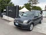 Ford Fusion 1.6 TDCi 5p. Collection - Ford Fusion mit Diesel-Antrieb: 1.6
