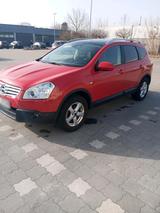 Nissan Qashqai+2 - gebrauchte Nissan Qashqai+2 aus dem Jahr 2010