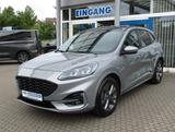 Ford Kuga ST-Line X/Pano/AHK/Kamera/HUD - Ford Kuga Tageszulassungen