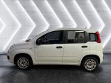 Fiat Panda 1.2 ''Easy'' Klima CD-Mp3 Zentralverriegel - Fiat Panda Gebrauchtwagen in Stuttgart