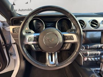 Ford Mustang - 9