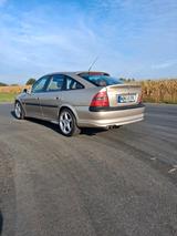 Opel Vectra 2.5 V6 Steinmetz Tobacco - Opel Vectra: 2.5