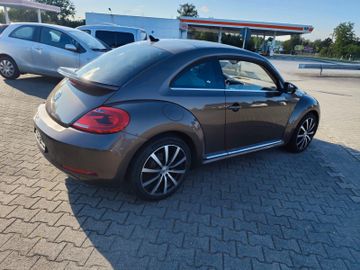 Volkswagen Beetle - 6