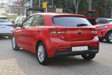 Kia Rio 1.2 Dream Team Sitzheizung PDC Klimaaut. - rote Kia Rio