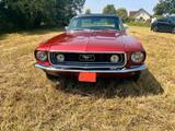 Ford Mustang GT Bj. 1968  V8 Motor NEU - Ford Mustang aus 1968: Coupe