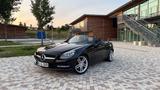 Mercedes-Benz SLK 250 d Automatik - AMG  TOP ZUSTAND - Mercedes-Benz SLK 250 mit Diesel-Antrieb: Cabrio