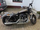 Harley-Davidson XL 1200 C Custom  - HARLEY-DAVIDSON 1200 CUSTOM