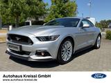 Ford Mustang GT Fastback 6 Gang Automatik - Ford Mustang Gebrauchtwagen in Frankfurt