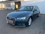 Audi A4 Avant 2.0 TDI ultra S-tronic "design" *Navi* - Audi A4: Grün, mit Navigationssystem