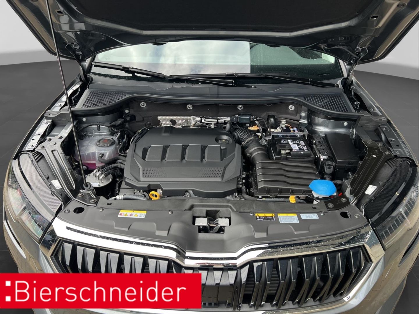 Skoda Karoq - Bild 25