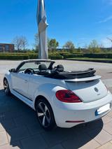 Volkswagen Beetle 1.6 TDI DSG Design BMT Cabriolet Desi... - Volkswagen Beetle: TDI