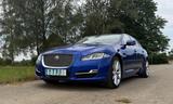 Jaguar XJ L Premium Luxury 3.0 V6 Diesel Langversion - Jaguar XJ Luxury mit Diesel-Antrieb