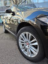 Jaguar F-Pace 20d AWD R-Sport  - VIRTUAL COCKPIT - Jaguar in Stuttgart