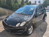 Smart ForFour 1,5 cdi 70kW passion passion - Smart ForFour Passion mit Diesel-Antrieb