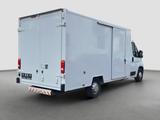 Fiat Ducato Koffer/Luftfahrwerk/Klima/Hebebühne L4H2 - Angebote