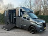 Renault Master 2023 STX Pferdewagen Horsetruck Pferde - Renault Master aus 2023